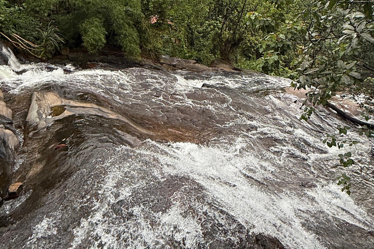 From Colombo: Cave Temples, Jungle Trek & Waterfall Swim