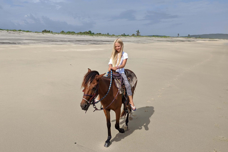 From Huatulco: Beach Horseback Riding Experience Regular Beach Horseback Riding Tour (2 hours)