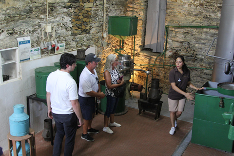 Porto: Douro Valley Half-Day Wine and Food Tour Tour with Hotel Pickup