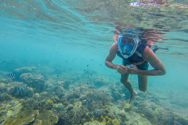 Palawan: 5-daagse Puerto Princesa &amp; El Nido pakketreisStandaard hotel met rondleidingen en transfers