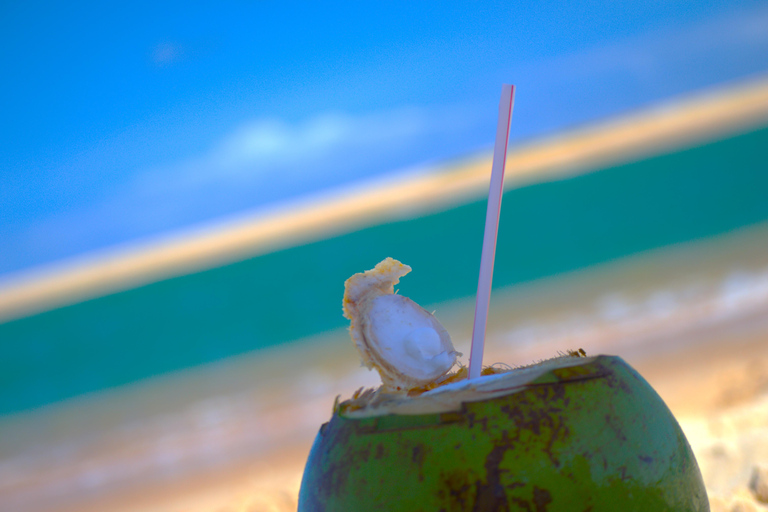 Salvador North Shore: Beach Hopping Tour to Praia do Forte