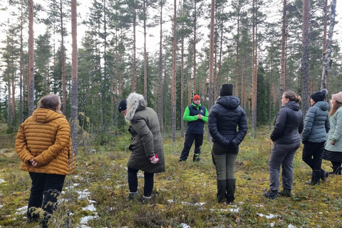 Helsinki: Guided Nature Experience with Campfire and Meal Private Experience from Helsinki