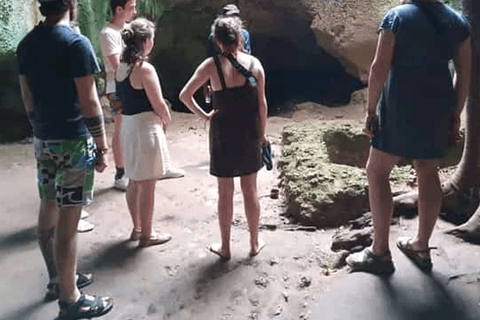 Wasini island: Marine Park, Dolphin Watch & Village Tour