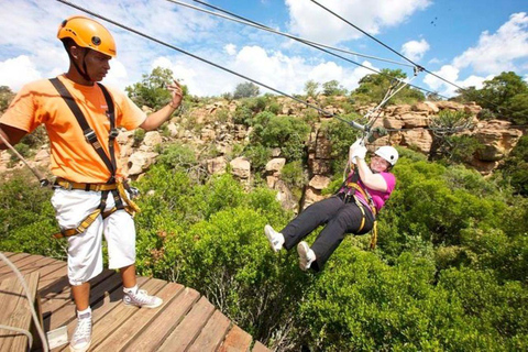 Magaliesberg: Ysterhout Gorge Zipline Crossing with Transfer