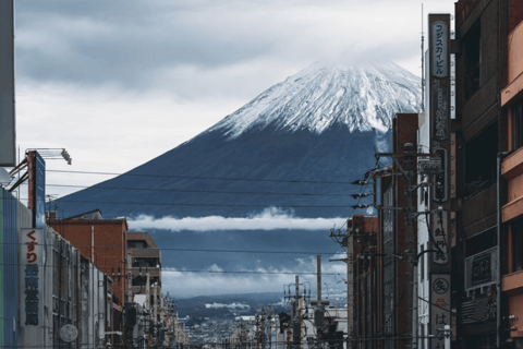 Tokyo: Mount Fuji And Hakone Private Tour Full Customizable