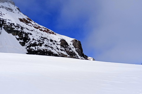 Day Trip from Zurich to Jungfraujoch - Top of Europe