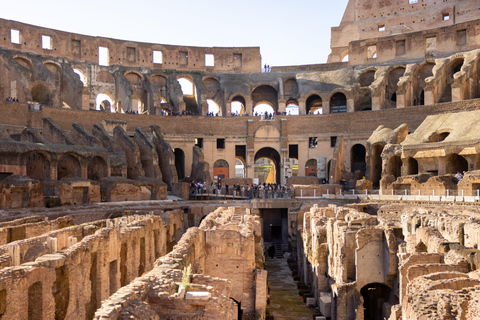 Rome: Colosseum Arena Floor Small Group with expert guide