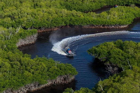 Visite privée des Everglades au départ de Miami ou de Fort Lauderdale