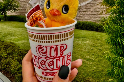 Osaka: Explore Cultural Gems with Pickup & Private Guide