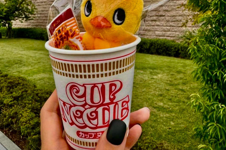 Osaka: Explore Cultural Gems with Pickup & Private Guide