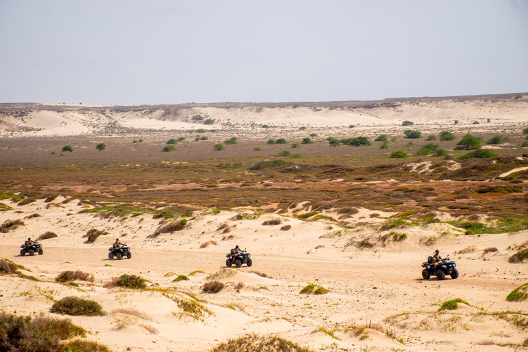 Äventyr söder om Boa Vista: Utforska öknen med fyrhjuling