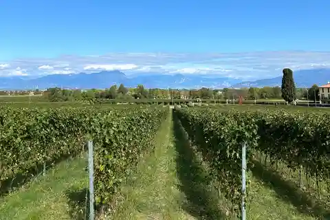 Lake Garda: Wine Tasting and Myths Tour with Local Snacks