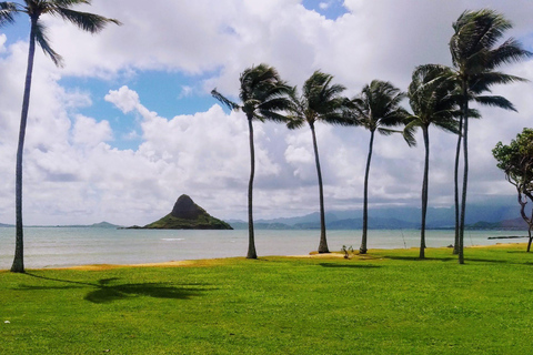 Oahu : Grand tour de l&#039;île d&#039;HawaïOahu : circuit complet autour de l&#039;île d&#039;Hawaï