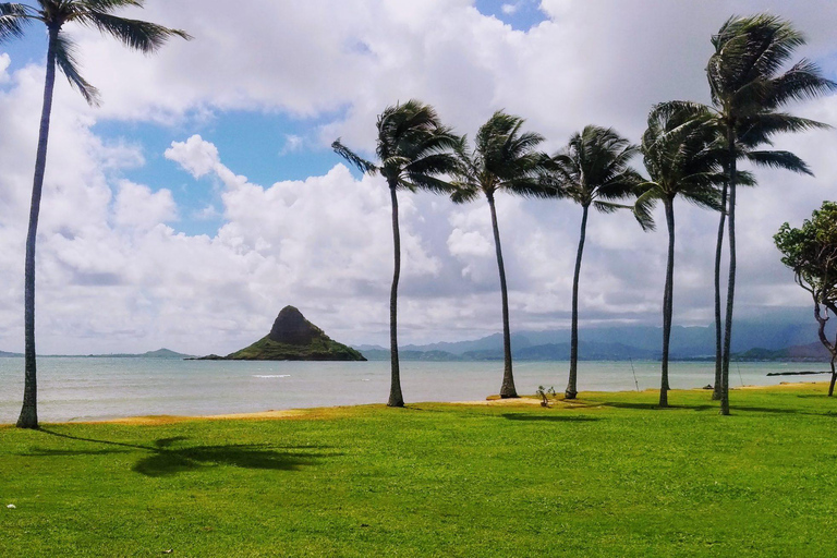 Oahu : Grand tour de l&#039;île d&#039;HawaïOahu : circuit complet autour de l&#039;île d&#039;Hawaï