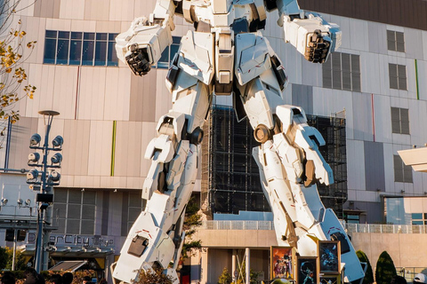 Tokyo Private & Customizable Tour with English Driver Guide