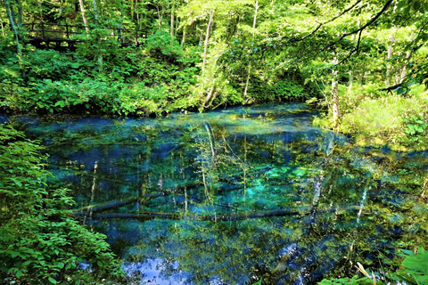 Shiretoko & Kiyosato: Five Lakes Full-Day Nature Tour