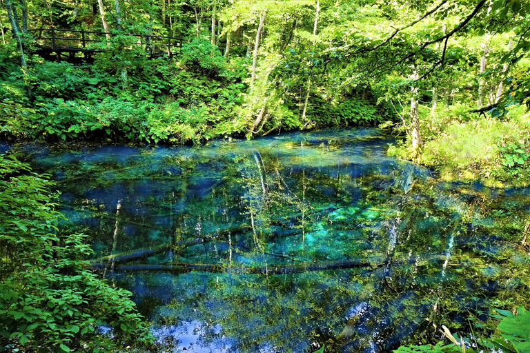 Shiretoko & Kiyosato: Five Lakes Full-Day Nature Tour