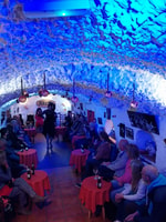 Granada, ZINCALÉ Flamenco Show in Sacromonte Caves - Housity