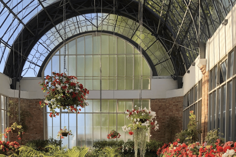 Auckland: City Highlights Tour with Takapuna Beach Cafe Stop