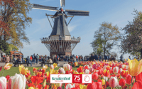 From Amsterdam, Keukenhof Entry and Roundtrip Shuttle Bus - Housity