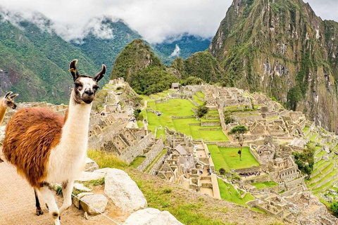 Machu Picchu Hike: 2 Days