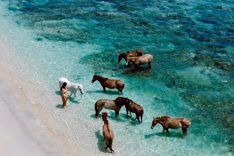 Explora las islas ocultas de Lombok: Gili Asahan, Gede, Goleng y Layar.Salida desde: Kuta Lombok, Selong Belanak, aeropuerto de Lombok