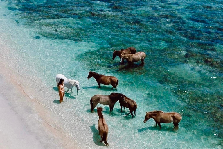 Explora las islas ocultas de Lombok: Gili Asahan, Gede, Goleng y Layar.Salida desde: Kuta Lombok, Selong Belanak, aeropuerto de Lombok