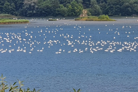 Von Bukarest aus: Rumänien, Moldawien & Transnistrien Private Tour