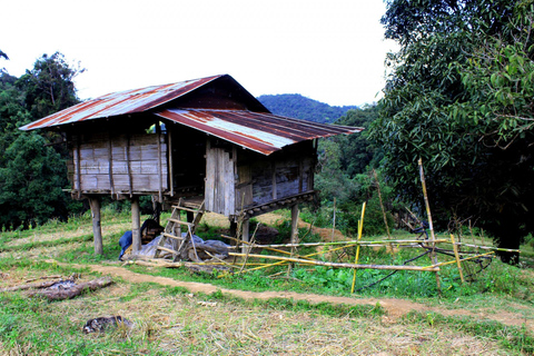 Chiang Mai: Doi Inthanon, watervallen en stamdorpentour