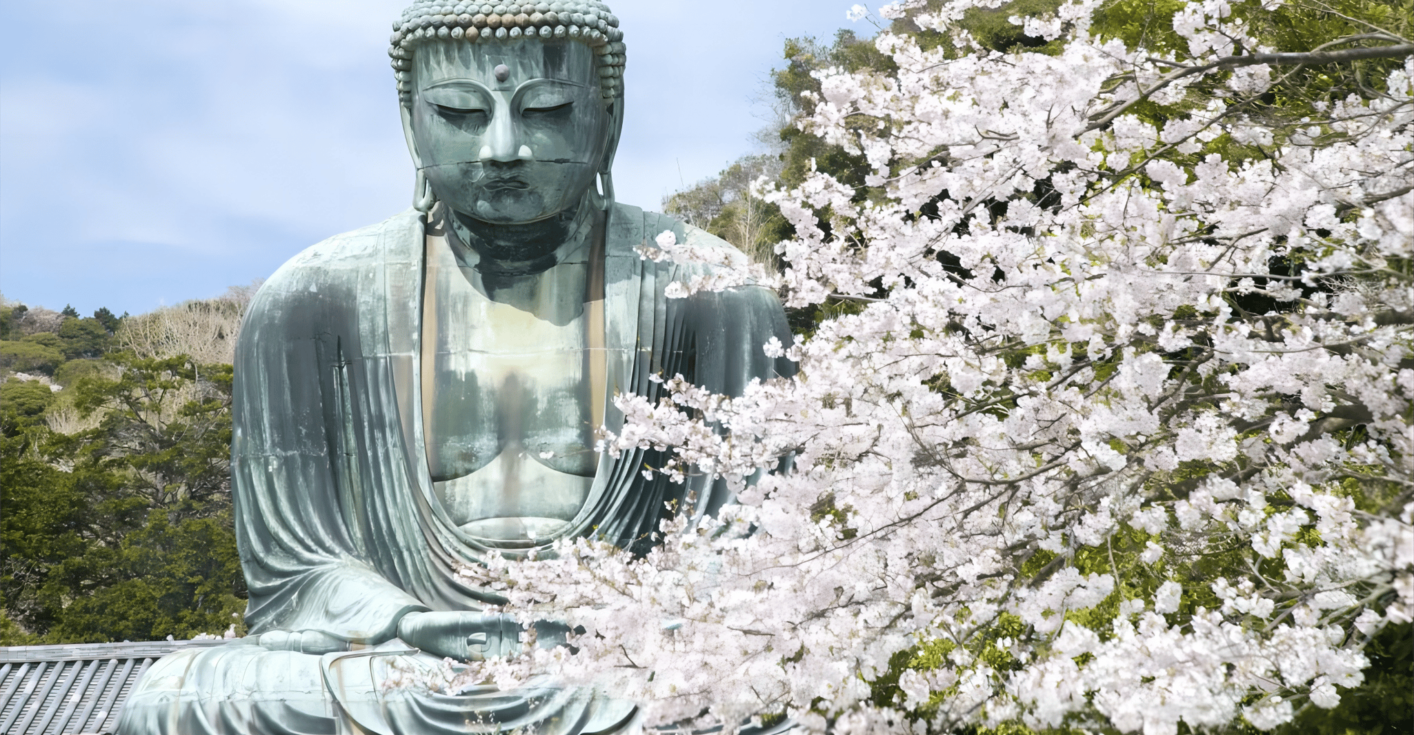 从东京到卡马库拉,大佛和成光光光光光光光光光 - Hizvo