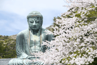 da Tokyo a Kamakura, Great Buddha & Slam-Dunk Fan Tour - Hizvo