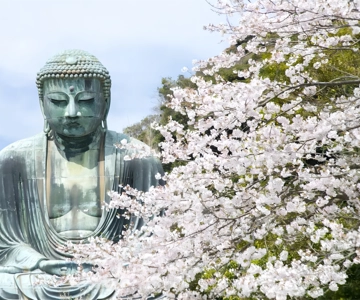 Tokyo: Kamakura & Enoshima Day Tour with Hotel Pickup