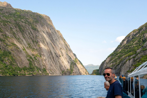 From Svolvær: Lofoten Trollfjord Cruise & Sea Eagle Safari Lofoten: Trollfjord Cruise with Sea Eagle Safari