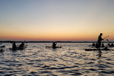 Orlando: Aventura com caiaque ou prancha a remo sem golfinhosPasseio com Golfinhos