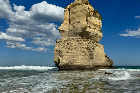 GREAT OCEAN ROAD [5 PPL ONLY] Skilled photographer guide 12 APOSTLE GREAT OCEAN ROAD [5 PPL ONLY] 6 HRS FREE TIME