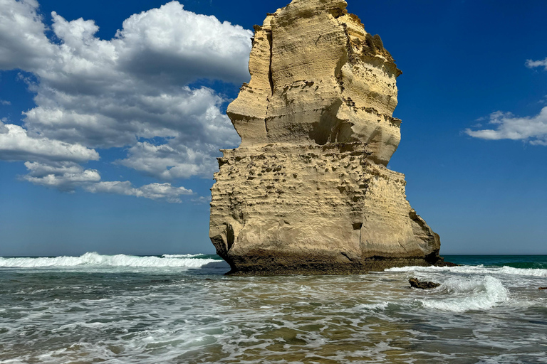 GREAT OCEAN ROAD [5 PPL ONLY] Skilled photographer guide 12 APOSTLE GREAT OCEAN ROAD [5 PPL ONLY] 6 HRS FREE TIME