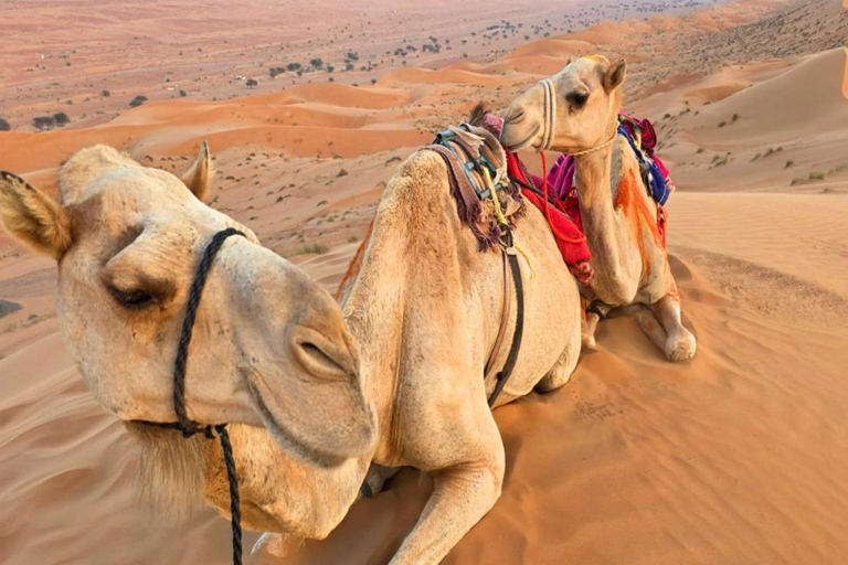 Oman: Private 3-Day Lifetime Roundtrip Package Tour