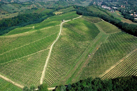 Zagreb: Japetić Viewpoint Hike & Plešivica Wine Tasting