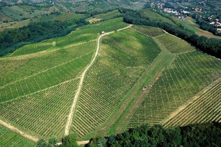 Zagreb: Japetić Viewpoint Hike & Plešivica Wine Tasting