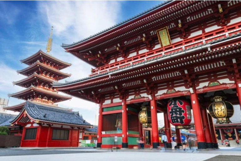 Tokyo City Customizable Guided Tour in Luxury Private Car Tokyo Custom Tour: Private Vehicle & English-Speaking (5)