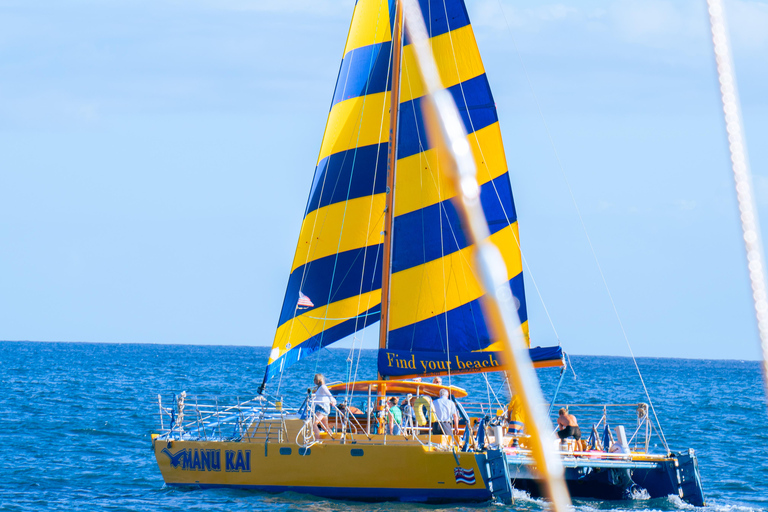 Honolulu: Catamaran Swim, Snorkel, and Sail with Drinks 2 Hour Snorkel, Swim & Sail