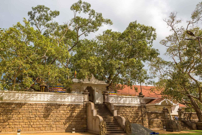 09 Days Heritage Trails of Sri Lanka