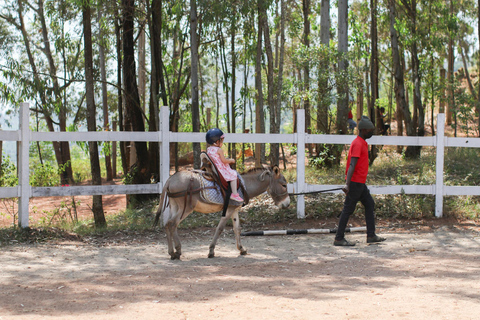 Paseos en burro para niños Experiencia