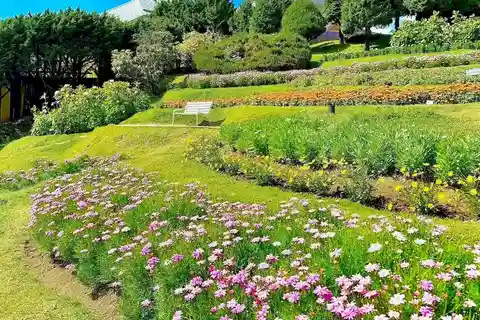 Chiang Mai : Visite du parc Doi Inthanon avec déjeuner et billet