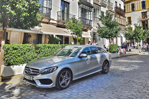 Lagos: Transfer privato dall&#039;aeroporto di Faro Fino a 8 passeggeriLagos: Transfer privato da/per l&#039;aeroporto di Faro