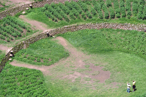Sacred Valley from Cusco: Chinchero, Moray, Maras, Ollantaytambo, and Pisac