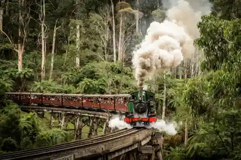 From Melbourne: Puffing Billy & Penguins Combo Tour Package