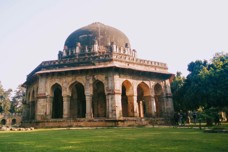 Delhi: Wildlife and Eco Tour with Monkey Safari