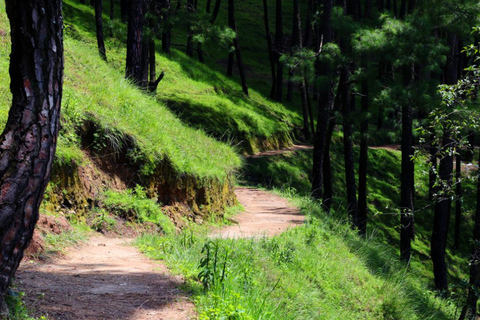 Bhundole – Pharping 2-Day Hike & Camping Adventure