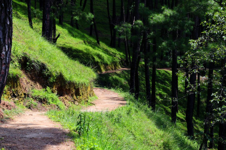 Bhundole – Pharping 2-Day Hike & Camping Adventure